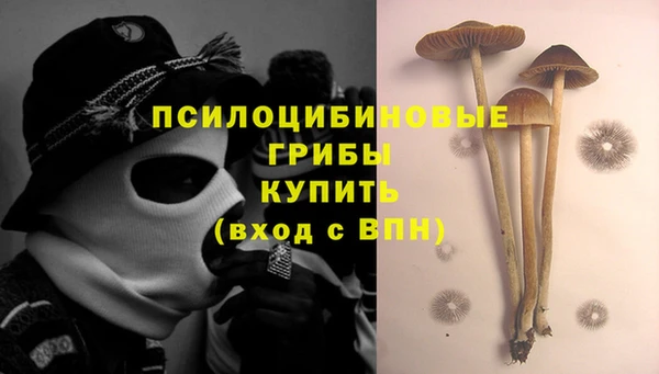 винт Осташков