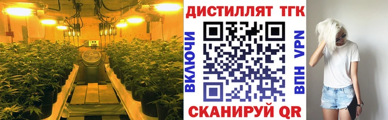 Дистиллят ТГК концентрат мега Судак