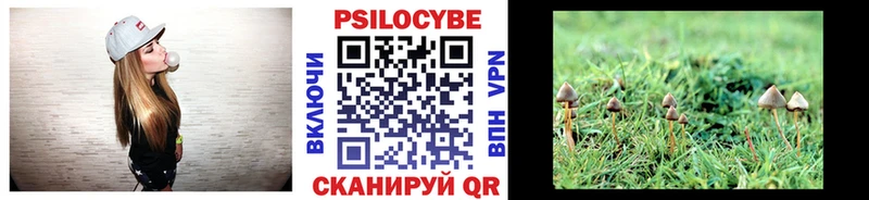 Псилоцибиновые грибы Magic Shrooms Судак